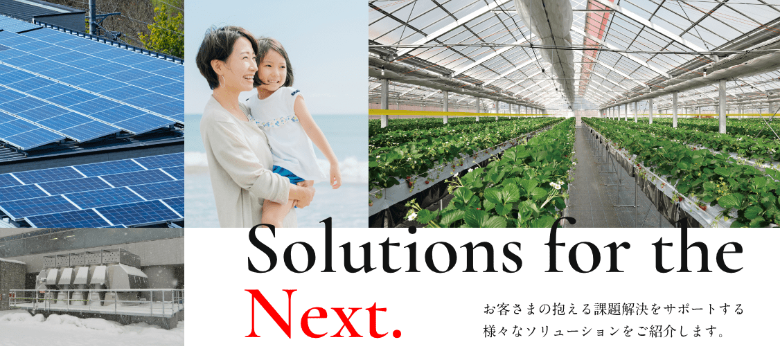 Solutions for the Next.