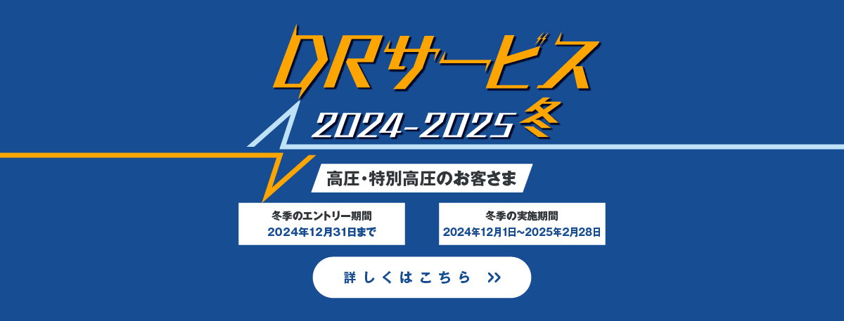 DRサービス2024-2025冬 高圧・特別高圧のお客さま 詳しくはこちら