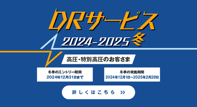 DRサービス2024-2025冬 高圧・特別高圧のお客さま 詳しくはこちら